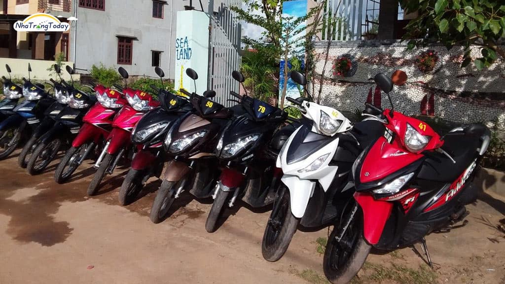 Hướng Dẫn Thuê Xe Máy Nha Trang Những Điều Cần Biết
