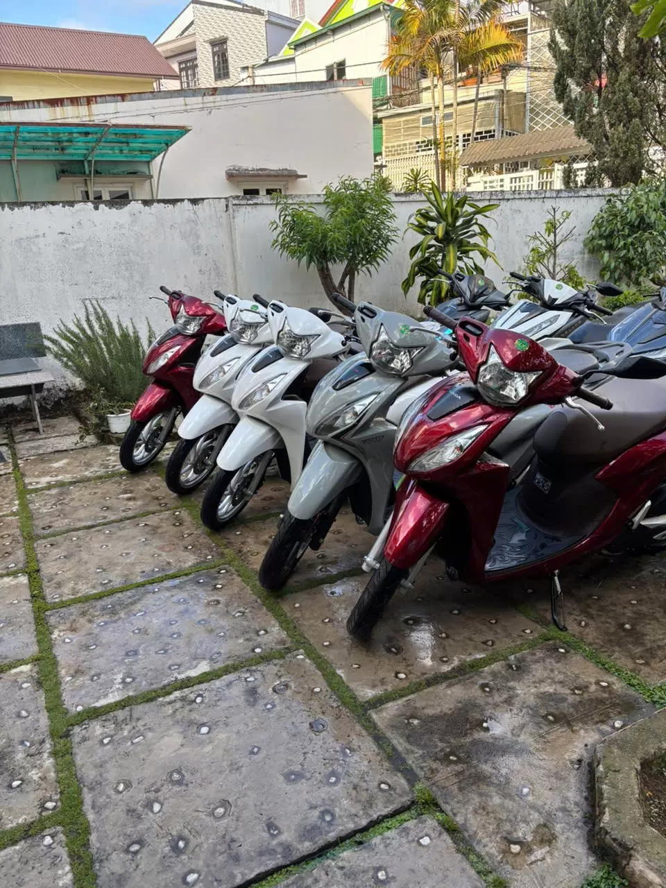 Xe máy Honda Vision đủ màu