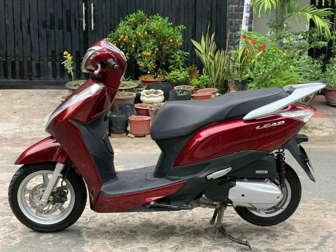 Xe máy Honda Lead màu ngẫu nhiên