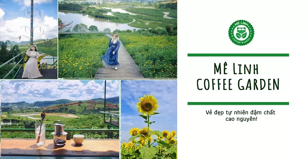 Qu&aacute;n Cafe View Đẹp