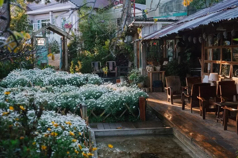 Qu&aacute;n Cafe View Đẹp