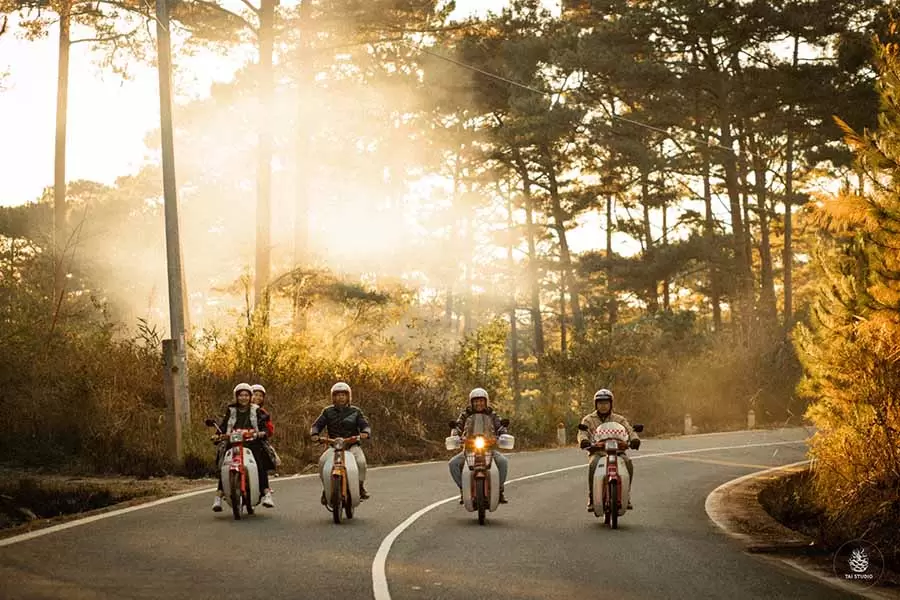 Thu&ecirc; Xe M&aacute;y Đ&agrave; Lạt